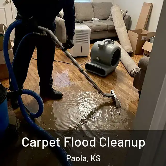  Carpet Flood Cleanup Paola, KS