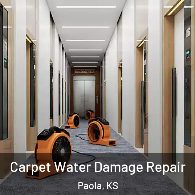 Carpet Water Damage Repair Paola, KS