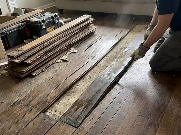 Water Damage Drying in Paola