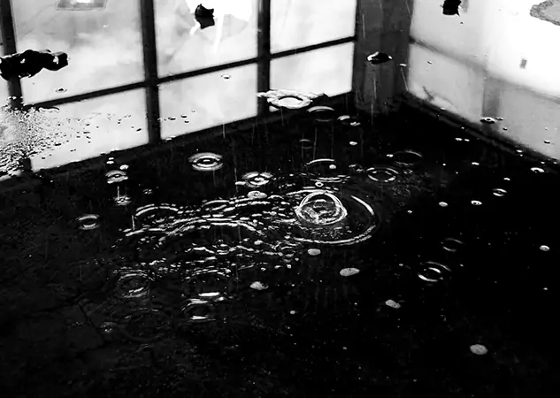 Your Contaminated Water Removal Specialists in Paola, KS