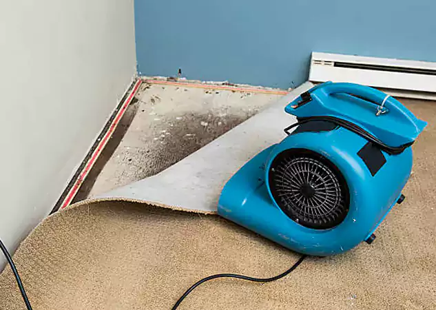 Your Water Damage Experts in Paola, KS