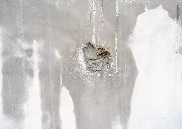 Your Mold Mitigation Solutions Partner in Paola, KS