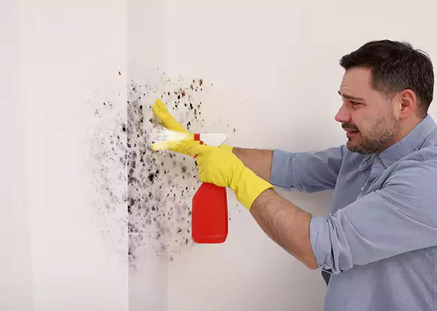Your Water Mold Fire Restoration Partner in Paola, KS