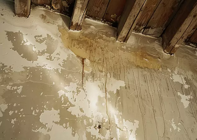 Your Trusted Restoration Company in Paola, KS
