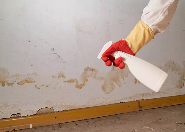 Your Water Restoration and Mold Remediation Specialists in Paola, KS