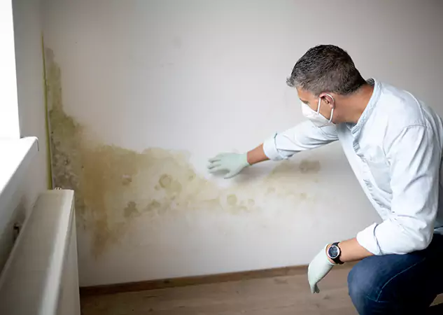 Reach Our Remediation Team Before Damage Grows in Paola, KS!