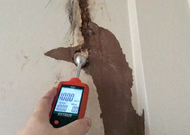 Your Water Damage Assessment Partner in Paola, KS