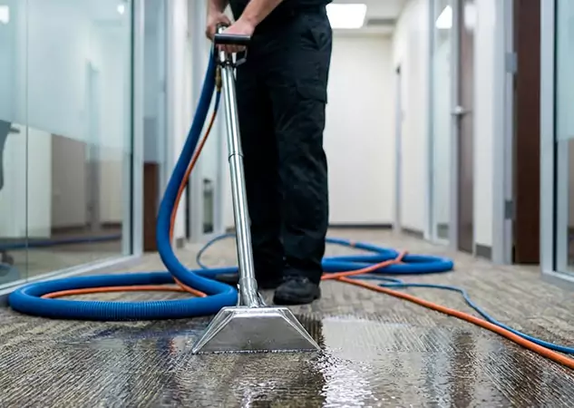 Your Water Damaged Carpet Restoration Partner in Paola, KS