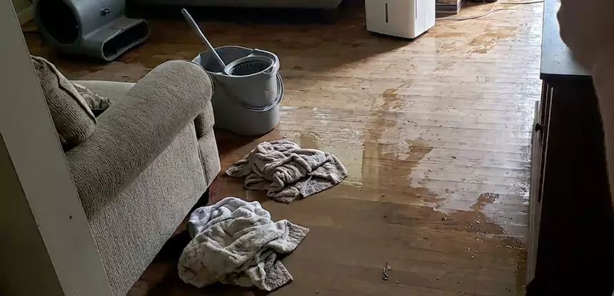 Professional Basement Water Remediation Services in Paola, KS