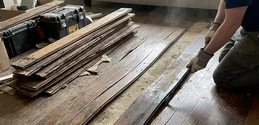 Wood Rot and Fungus Repair in Paola