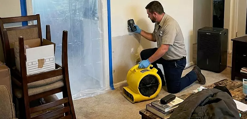 Carpet Water Damage Repair Paola