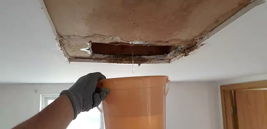 Ceiling Mold Repair Paola