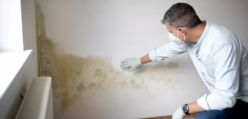 Mold and Water Damage Repair in Paola