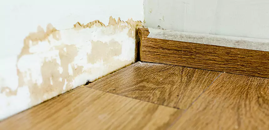Professional Fix Water Damaged Wood Services in Paola, KS