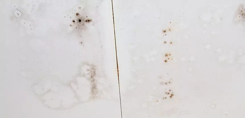 Professional Water Stain Repair Services in Paola, KS