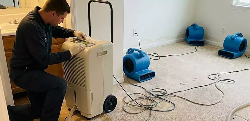 Professional Wet Carpet Removal Services in Paola, KS
