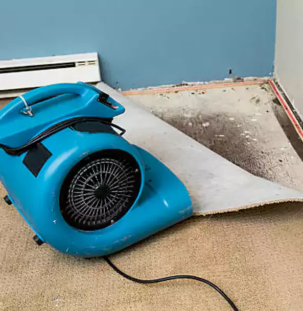 Why Paola Trusts Paola Restoration Pro for Carpet Flood Recovery?