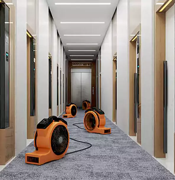 Why Paola Trusts Paola Restoration Pro?