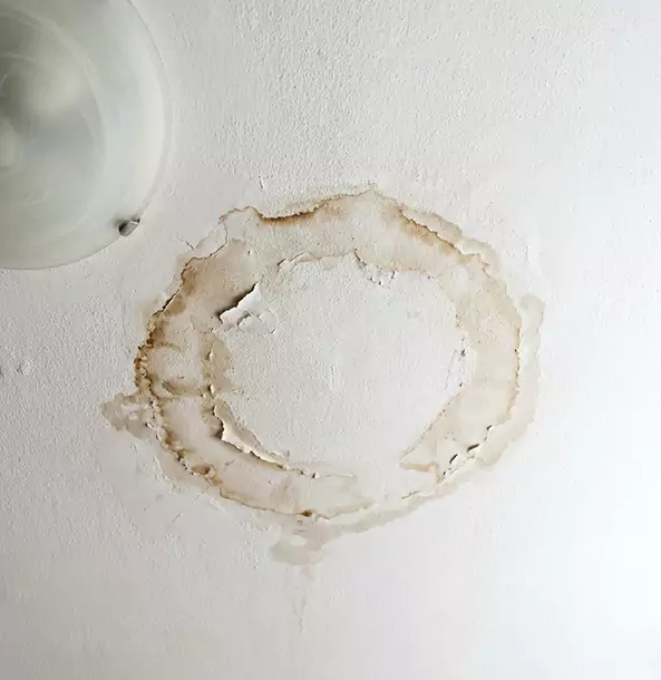 Why Paola Property Owners Choose Paola Restoration Pro for Ceiling Water Damage Restoration?