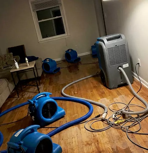 Why Paola Calls Paola Restoration Pro First for Emergency Restoration?