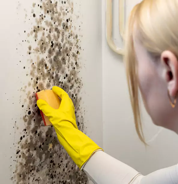 Why Paola Restoration Pro Leads Mold Remediation in Paola?