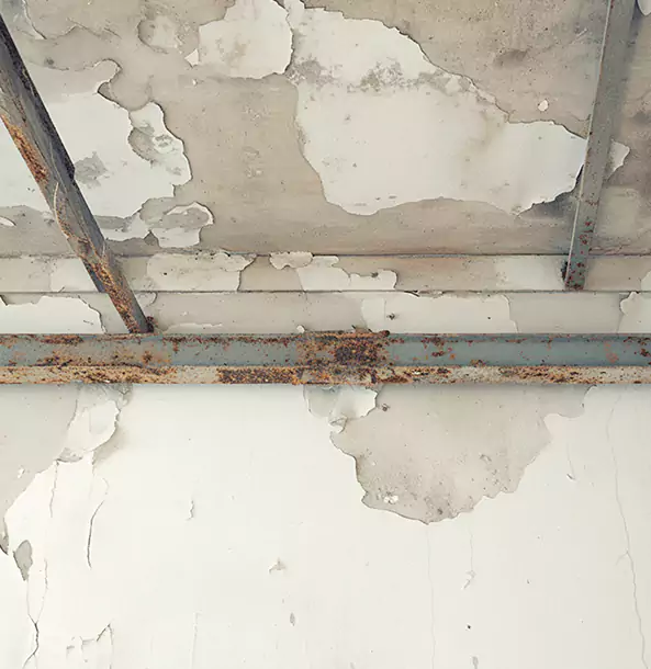 Why Paola Restoration Pro Is the Right Choice in Paola, KS?
