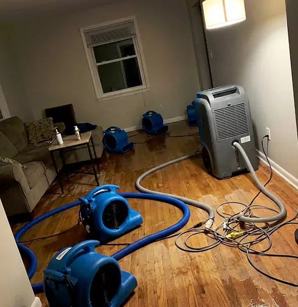 Why Paola Property Owners Rely on Paola Restoration Pro for Remediation?