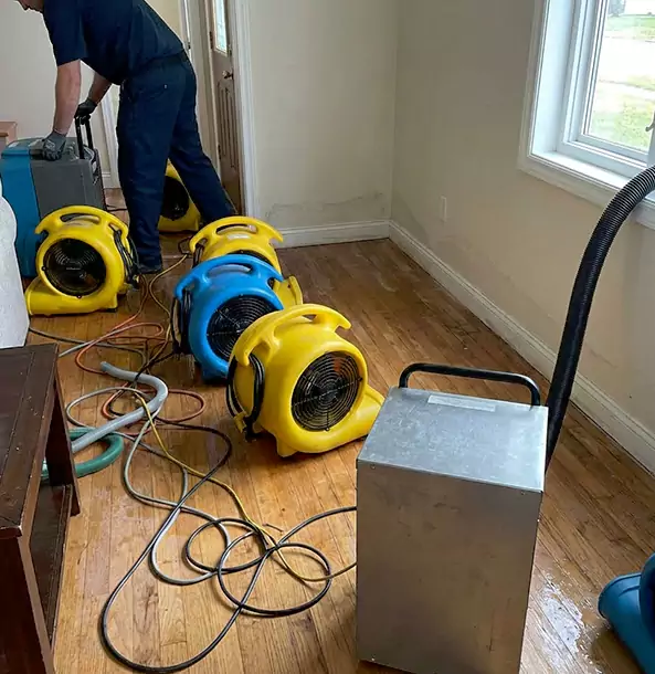Why Paola Property Owners Choose Paola Restoration Pro for Remediation?