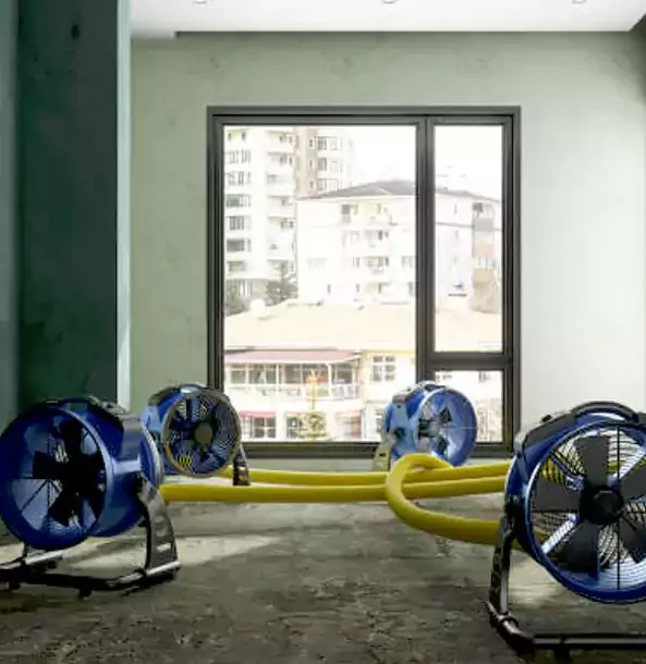 Why Paola Property Owners Trust Paola Restoration Pro for Water Damage Drying?