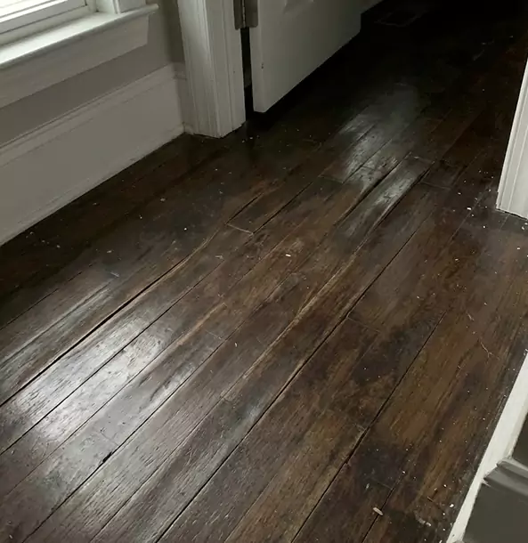 Why Paola Homeowners Trust Paola Restoration Pro to Fix Water Damaged Wood?