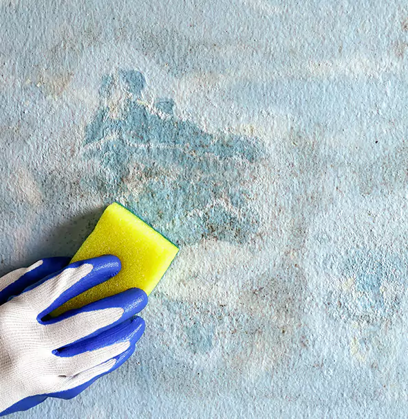 Why Paola Restoration Pro Is the Right Choice in Paola, KS?