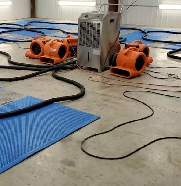 Why Paola Homeowners and Businesses Choose Paola Restoration Pro for Wet Carpet Removal?
