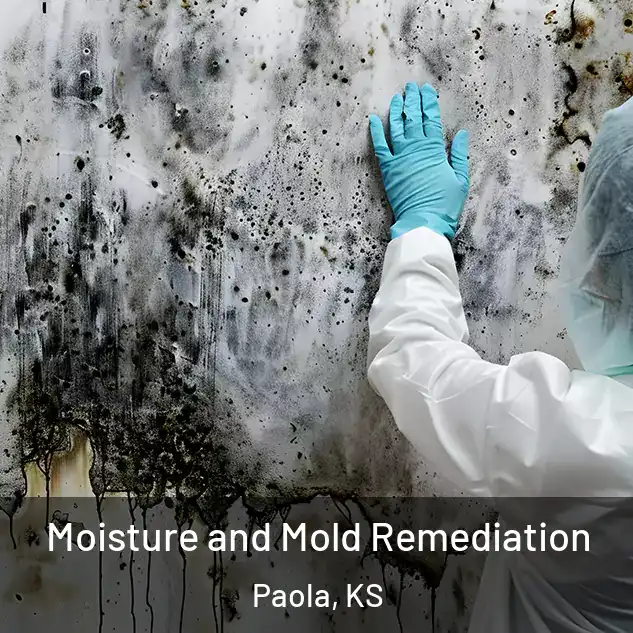  Moisture and Mold Remediation Paola, KS