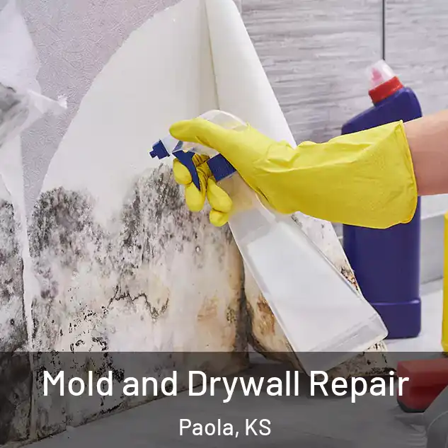  Mold and Drywall Repair Paola, KS