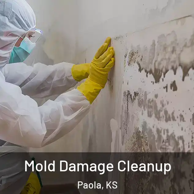  Mold Damage Cleanup Paola, KS