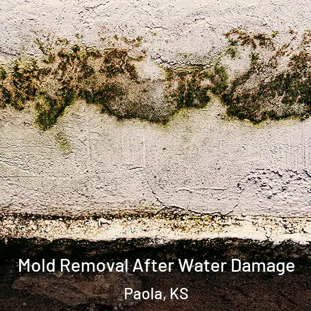  Mold Removal After Water Damage Paola, KS