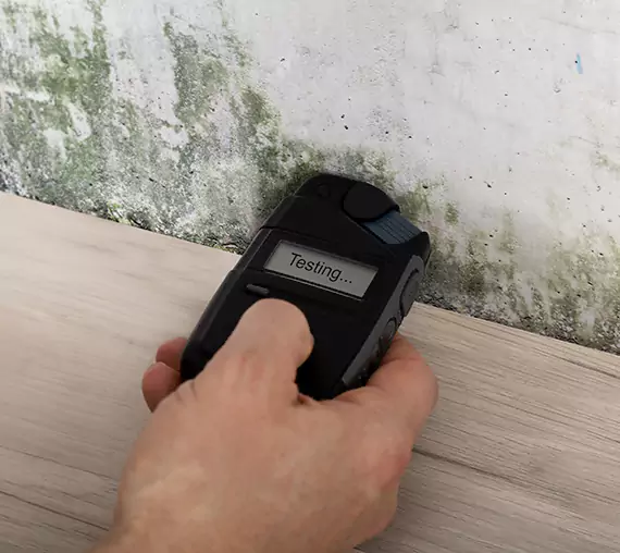 Mold Remediation Service Paola