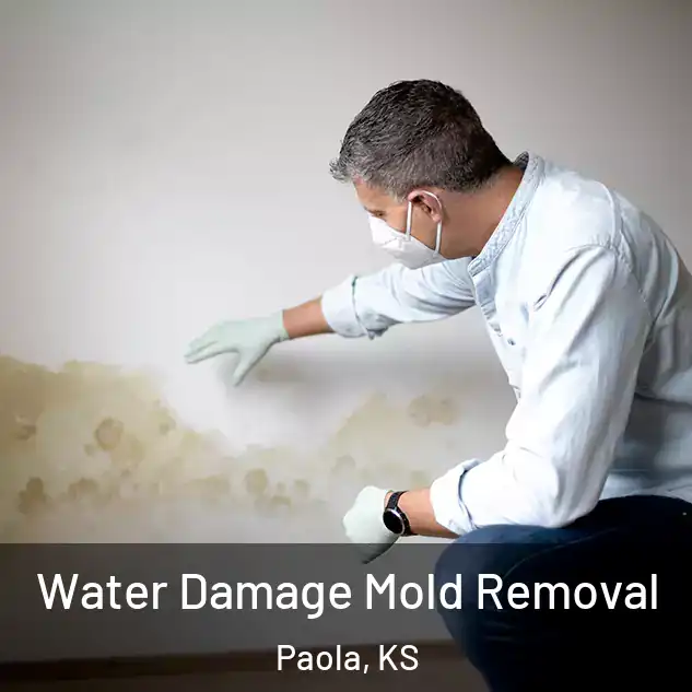  Water Damage Mold Removal Paola, KS