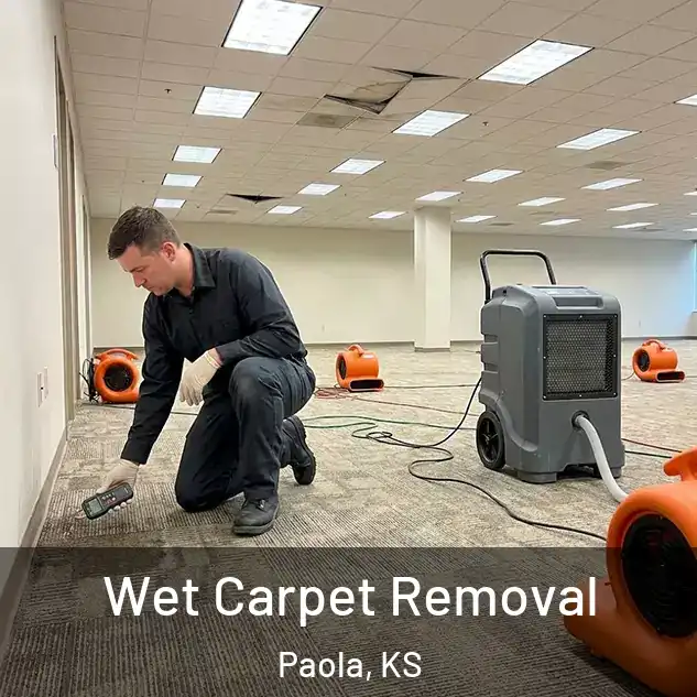  Wet Carpet Removal Paola, KS